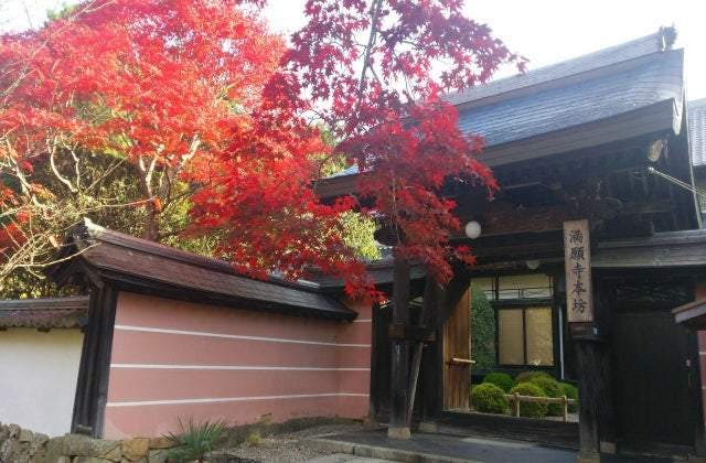 スポットの写真