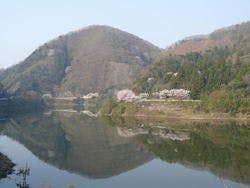 スポットの写真