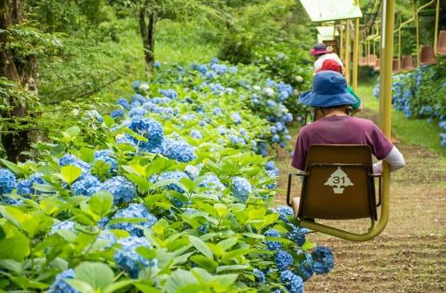 スポットの写真