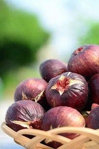 スポットの写真