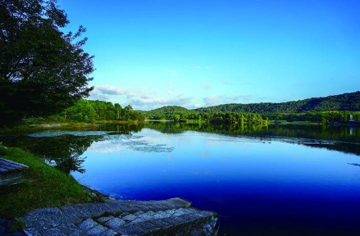 県立自然公園鴨池