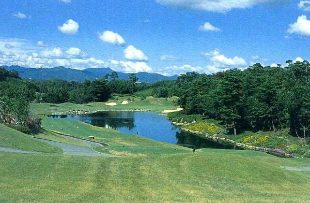 スポットの写真