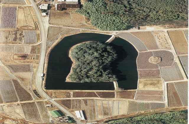 スポットの写真