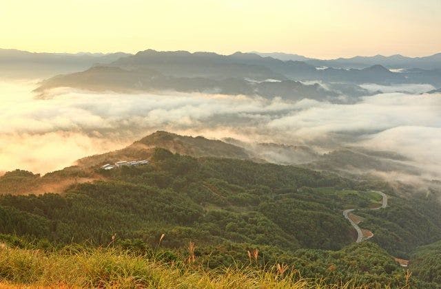 スポットの写真