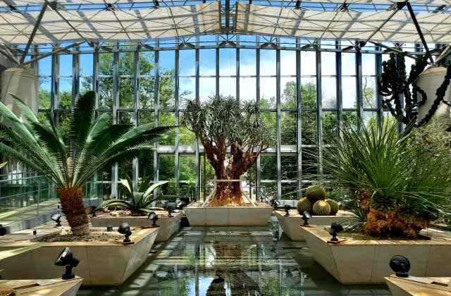 スポットの写真