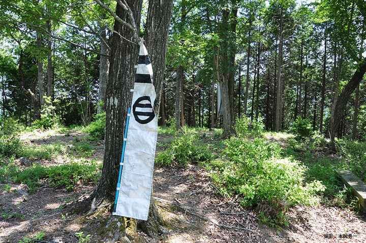 スポットの写真