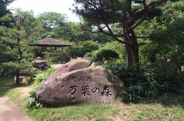 スポットの写真