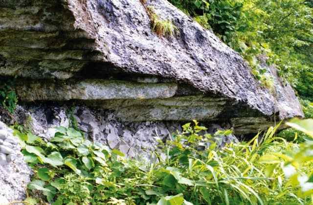 スポットの写真