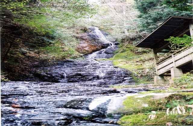 スポットの写真