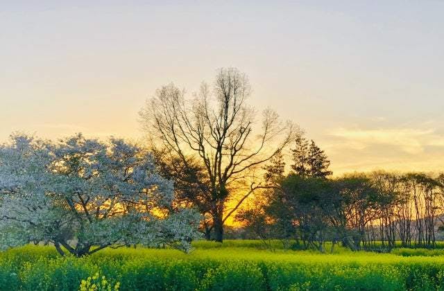 スポットの写真