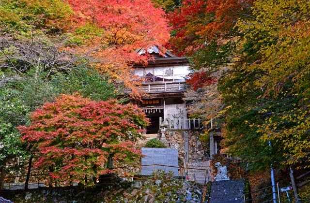 スポットの写真