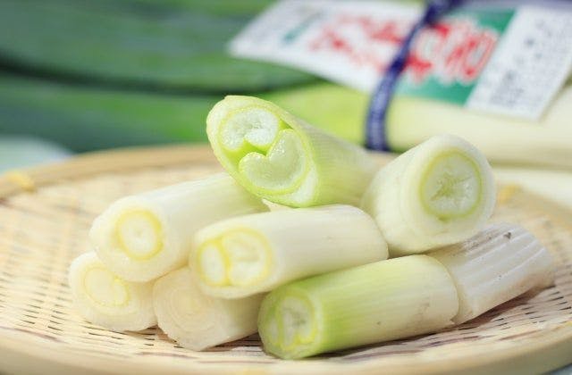 スポットの写真