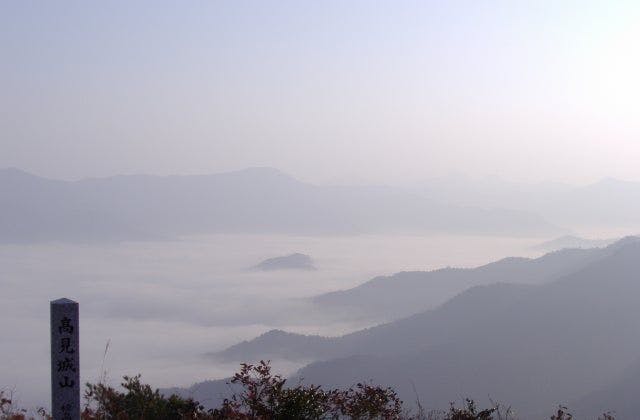 スポットの写真