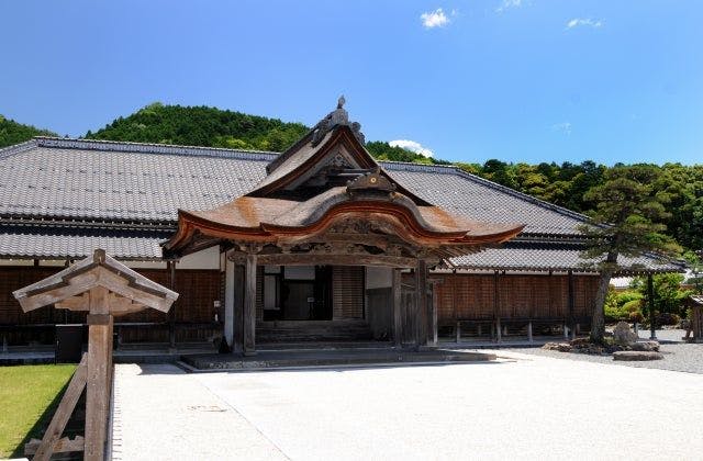 スポットの写真