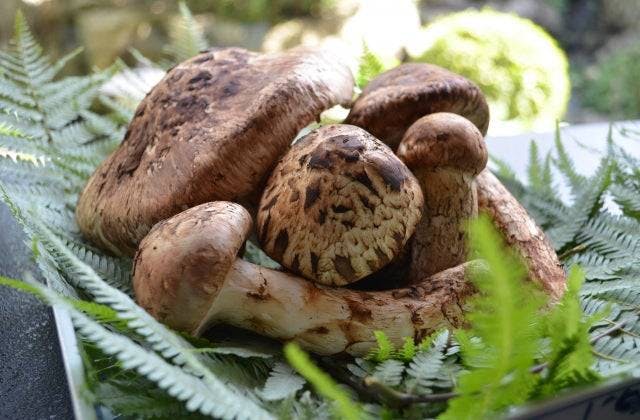 スポットの写真