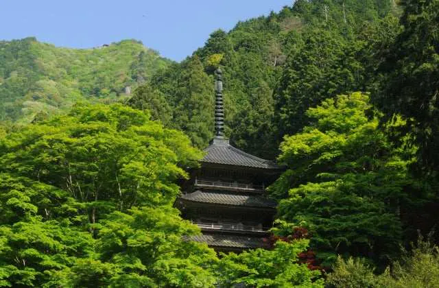 スポットの写真