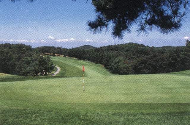 スポットの写真