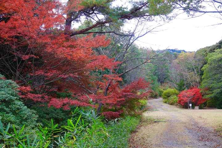 スポットの写真