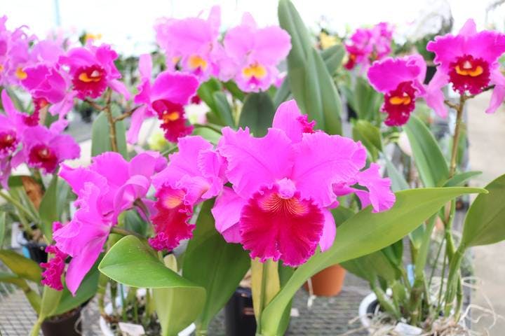 スポットの写真