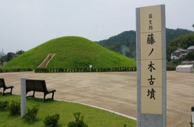 スポットの写真