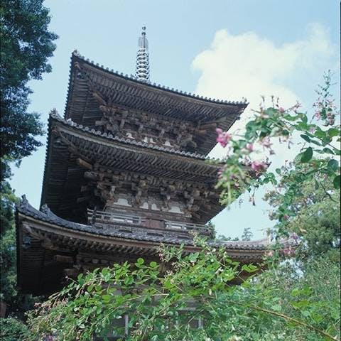 スポットの写真