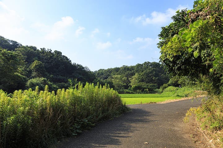 舞岡公園