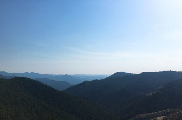 スポットの写真