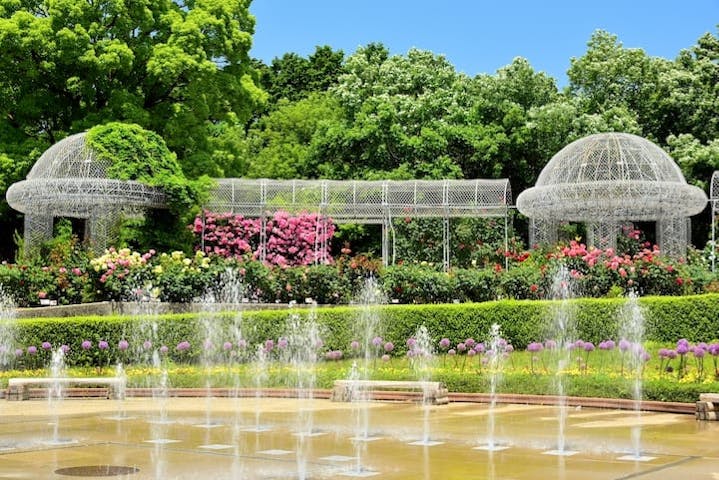 小田原フラワーガーデン