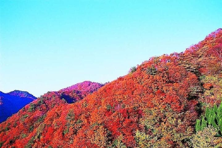 【2022年】弥栄町野間地域一帯の紅葉