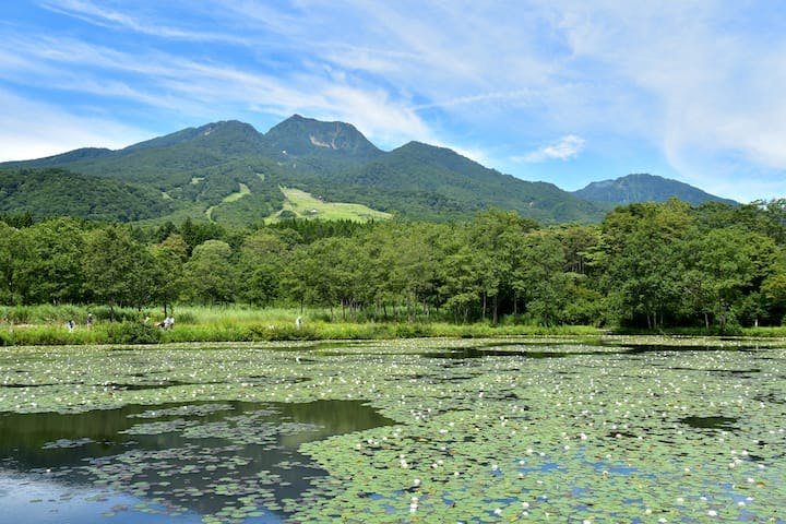 妙高高原（いもり池）