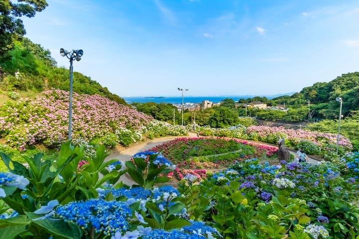 形原温泉あじさいの里