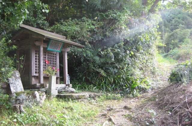 スポットの写真