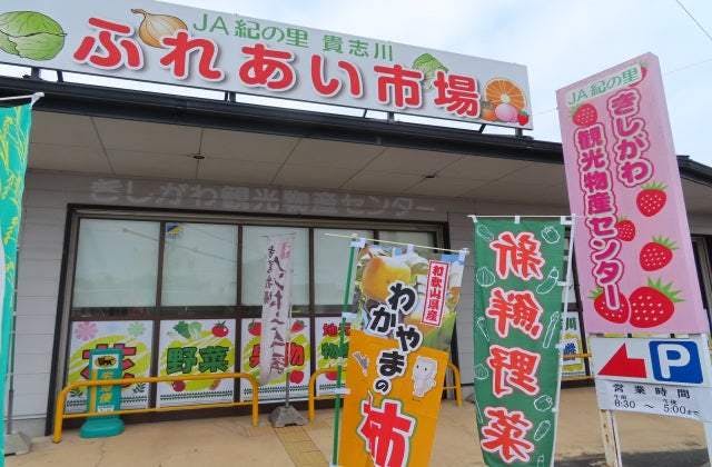 スポットの写真