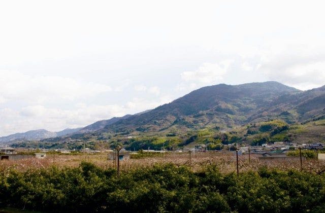 スポットの写真