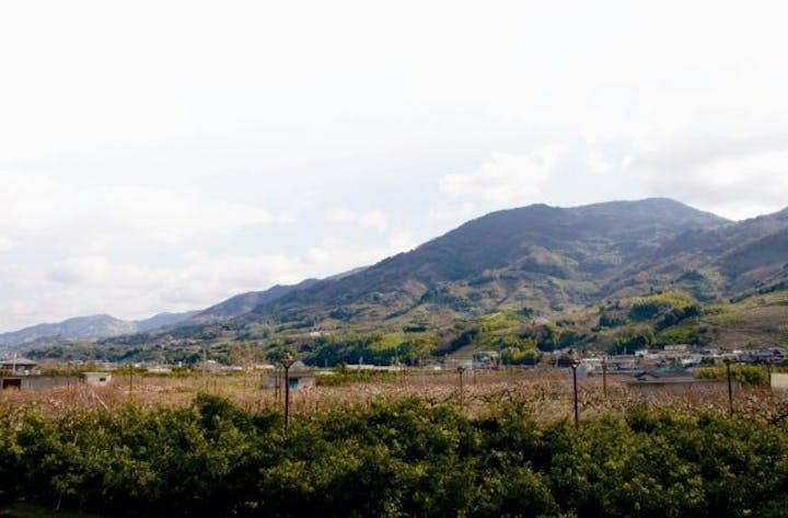 龍門山（紀州富士）