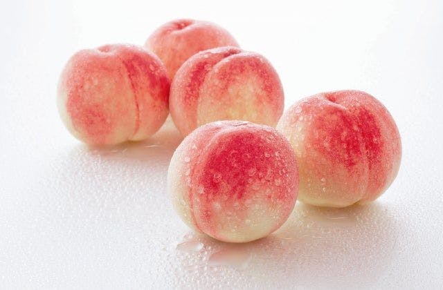 スポットの写真