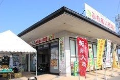 スポットの写真