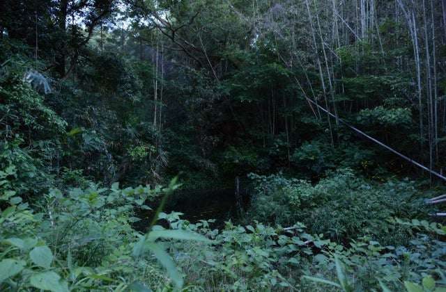 スポットの写真