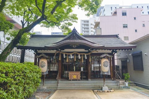 スポットの写真