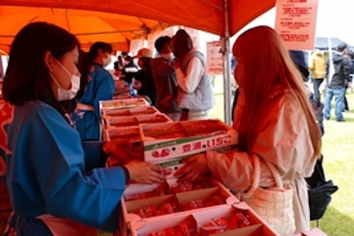 豊浦町いちご豚肉まつり