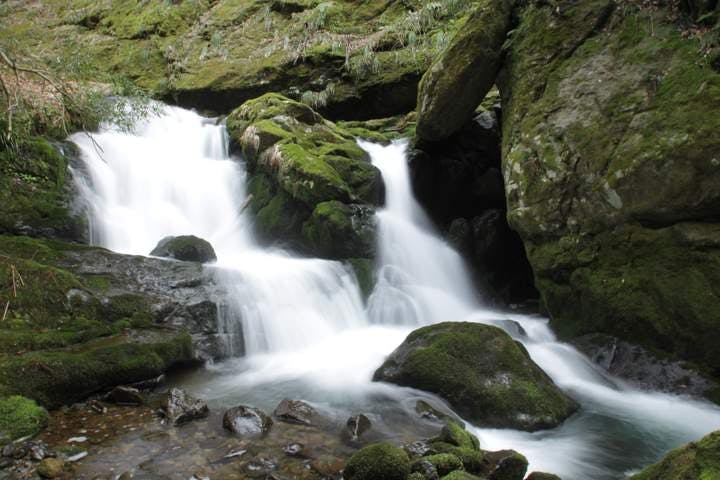 スポットの写真