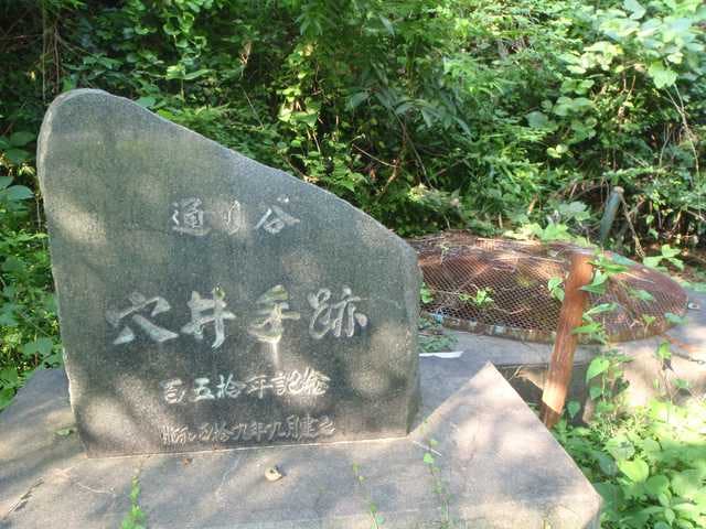 スポットの写真