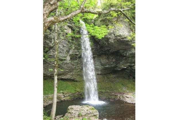 スポットの写真