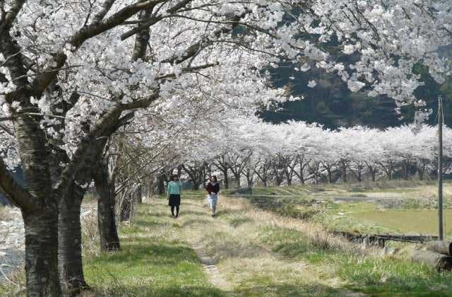 スポットの写真