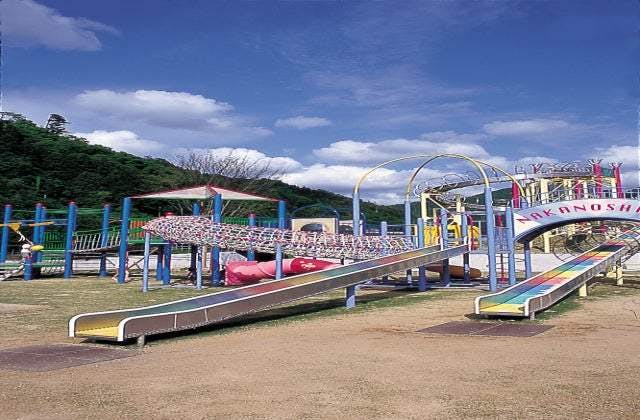 スポットの写真