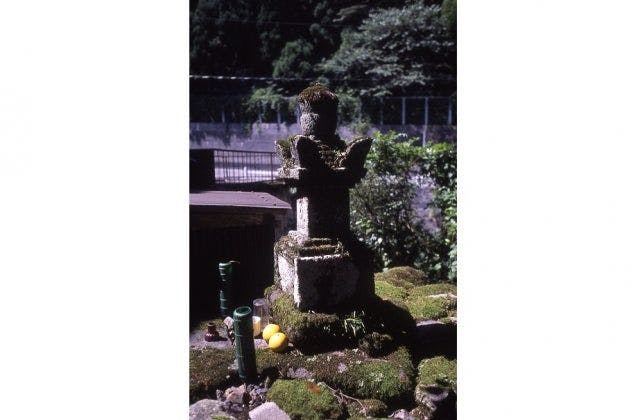 スポットの写真