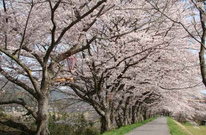 法勝寺城山公園