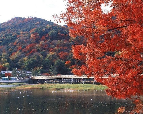 【2022年】嵐山の紅葉