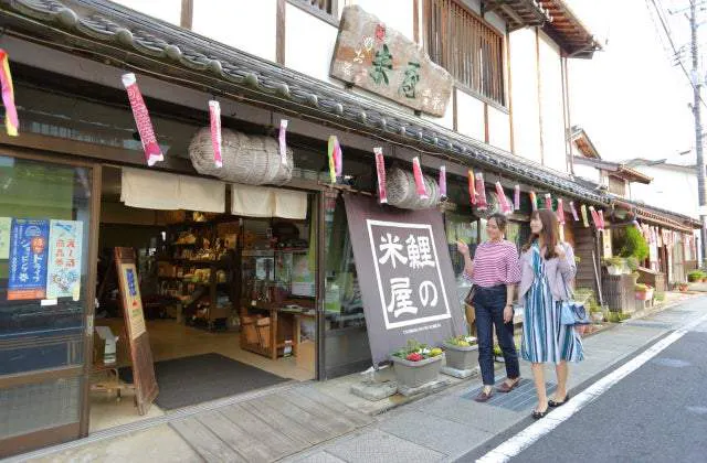 スポットの写真