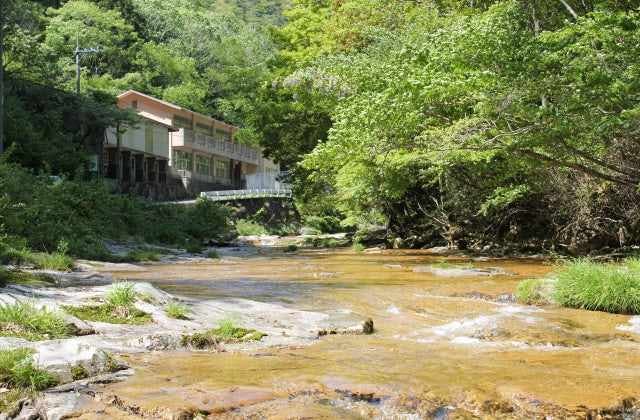 スポットの写真